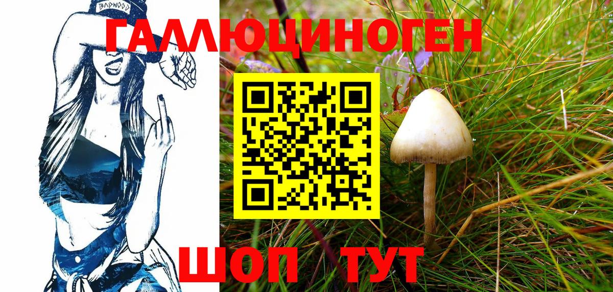 Галлюциногенные грибы Psilocybine cubensis Нефтекамск