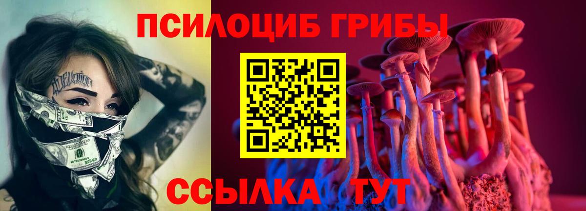 Псилоцибиновые грибы Psilocybe  Вход с VPN  Псилоцибиновые грибы GOLDEN TEACHER  купить  цена  Нефтекамск 